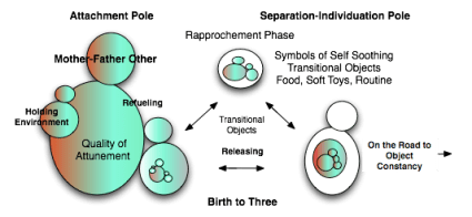 DEVELOPMENTAL CONSIDERATIONS10-22-12