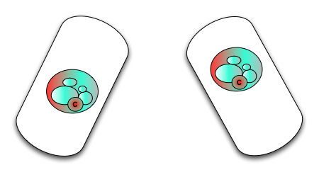 DuelingEncapsulatedExperientialStateComplexes12.2.18
