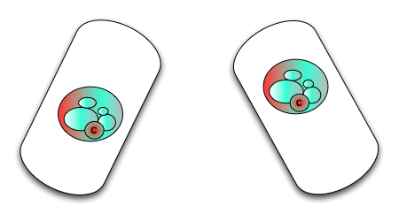 DuelingEncapsulatedExperientialStateComplexes12.2.18